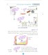 کتاب راهنما تصویری مبحث13 مقررات ملی ساختمان
